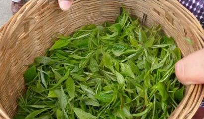 從茶臺(tái)到舞臺(tái) 30歲逆襲創(chuàng)業(yè)，借力煥唄成就富一代傳奇