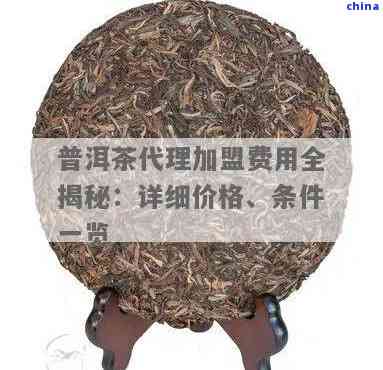 探索州普洱茶 官方聯(lián)系、優(yōu)選代理與銷售全攻略